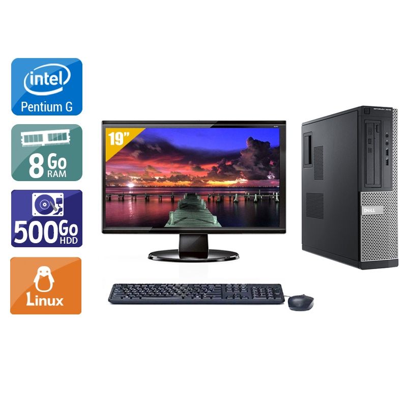 Dell Optiplex 3010 Desktop Pentium G Dual Core avec Écran 19 pouces 8Go RAM 500Go HDD Linux