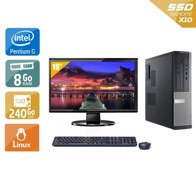 Dell Optiplex 3010 Desktop Pentium G Dual Core avec Écran 19 pouces 8Go RAM 240Go SSD Linux