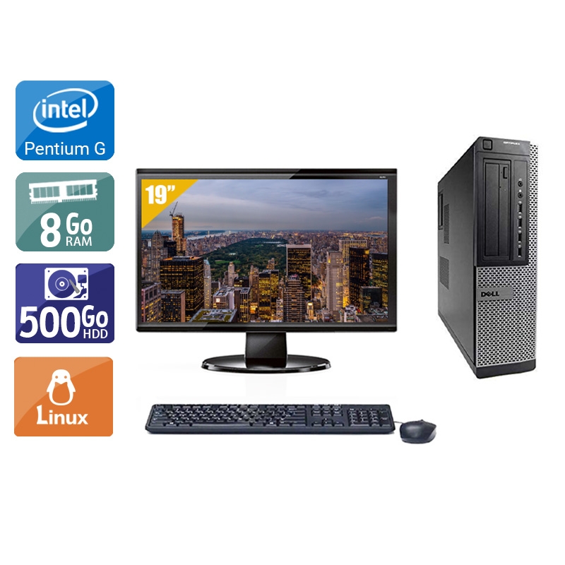 Dell Optiplex 790 Desktop Pentium G Dual Core avec Écran 19 pouces 8Go RAM 500Go HDD Linux
