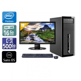 HP ProDesk 400 G1 Tower Pentium G Dual Core avec Écran 19 pouces 8Go RAM 500Go HDD Sans OS