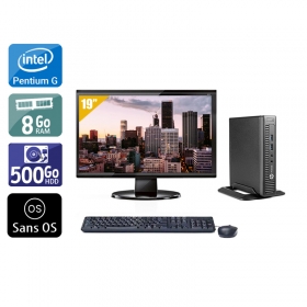 HP ProDesk 600 G1 TINY Pentium G Dual Core avec Écran 19 pouces 8Go RAM 500Go HDD Sans OS